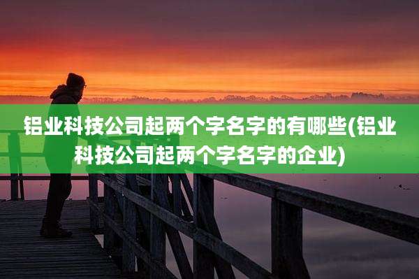 铝业科技公司起两个字名字的有哪些(铝业科技公司起两个字名字的企业)
