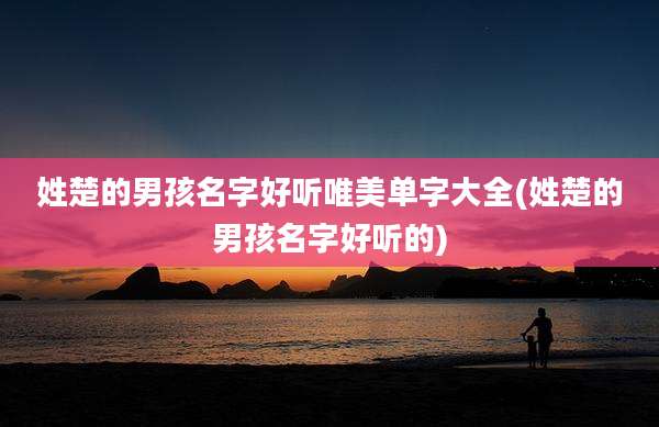 姓楚的男孩名字好听唯美单字大全(姓楚的男孩名字好听的)