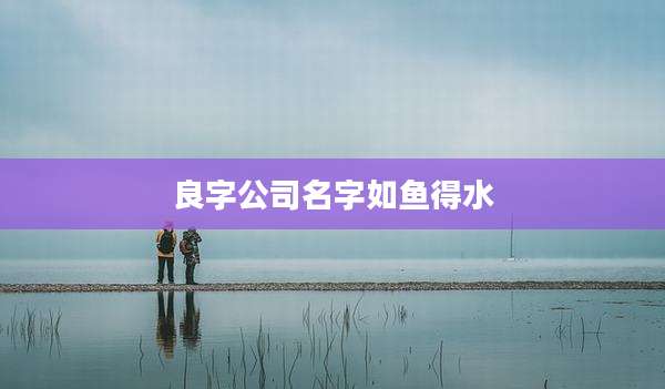 良字公司名字如鱼得水