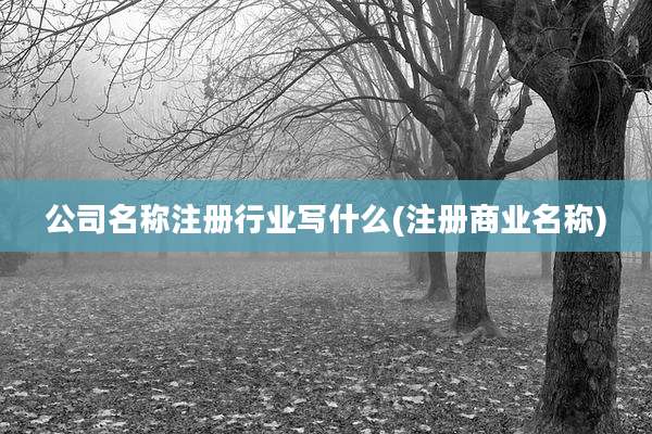 公司名称注册行业写什么(注册商业名称)