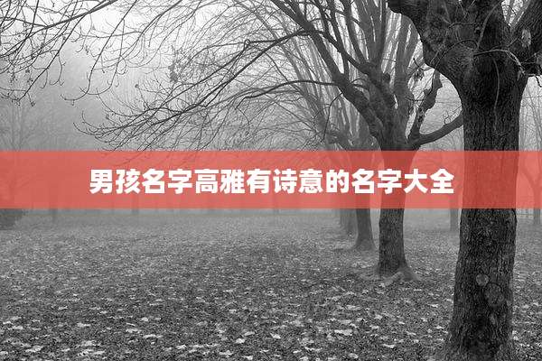 男孩名字高雅有诗意的名字大全