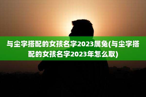 与尘字搭配的女孩名字2023属兔(与尘字搭配的女孩名字2023年怎么取)