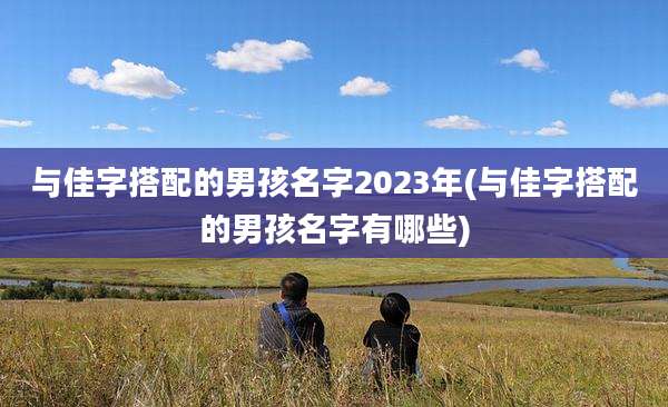 与佳字搭配的男孩名字2023年(与佳字搭配的男孩名字有哪些)