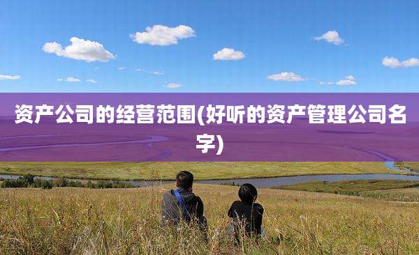 资产公司的经营范围(好听的资产管理公司名字)