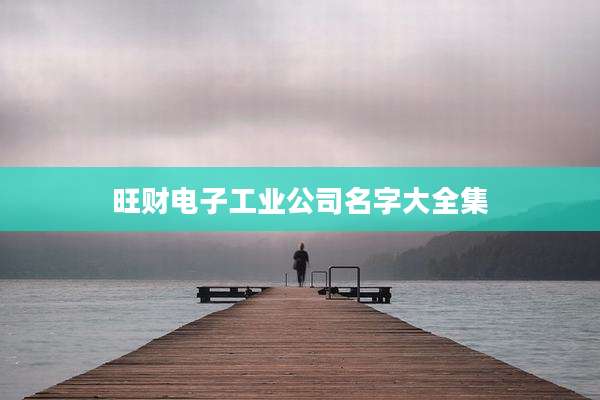 旺财电子工业公司名字大全集