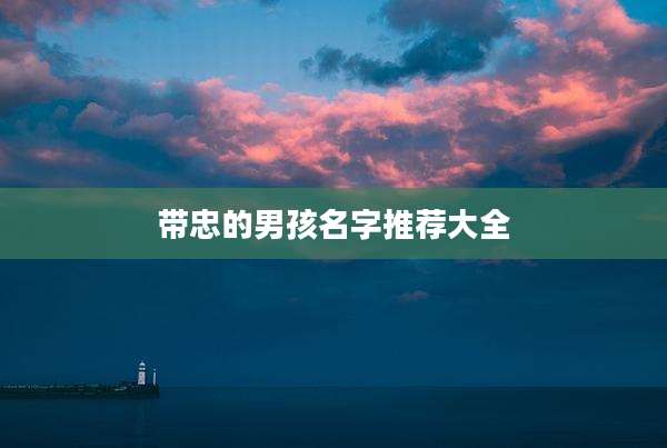带忠的男孩名字推荐大全