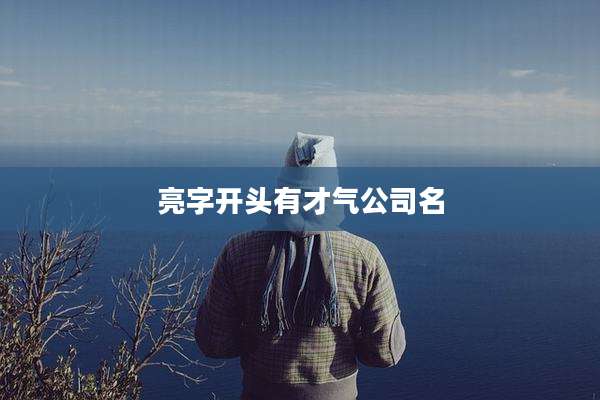 亮字开头有才气公司名