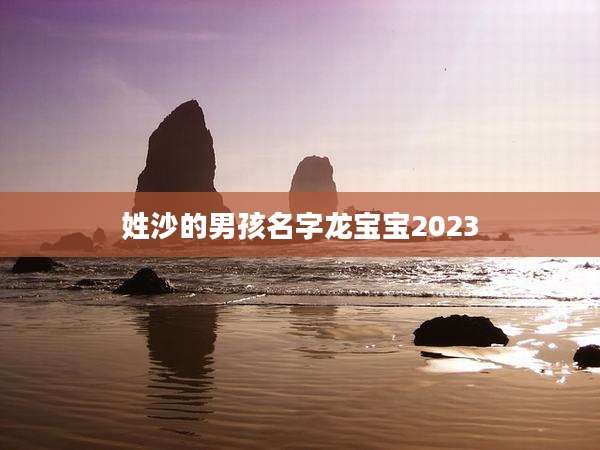 姓沙的男孩名字龙宝宝2023