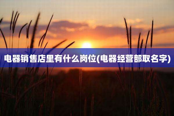 电器销售店里有什么岗位(电器经营部取名字)