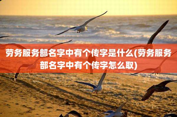 劳务服务部名字中有个传字是什么(劳务服务部名字中有个传字怎么取)