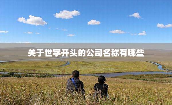关于世字开头的公司名称有哪些