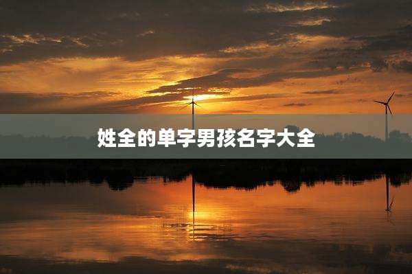 姓全的单字男孩名字大全
