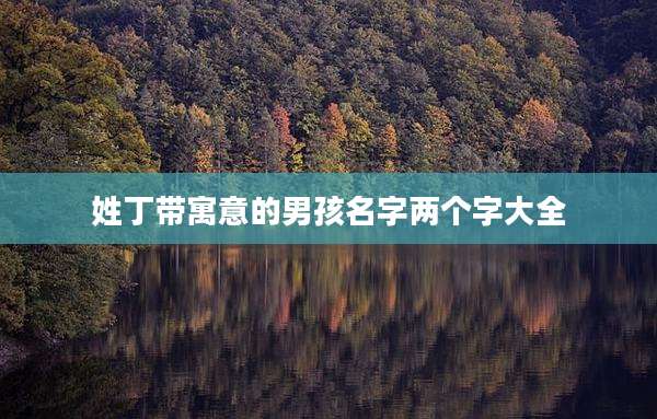 姓丁带寓意的男孩名字两个字大全