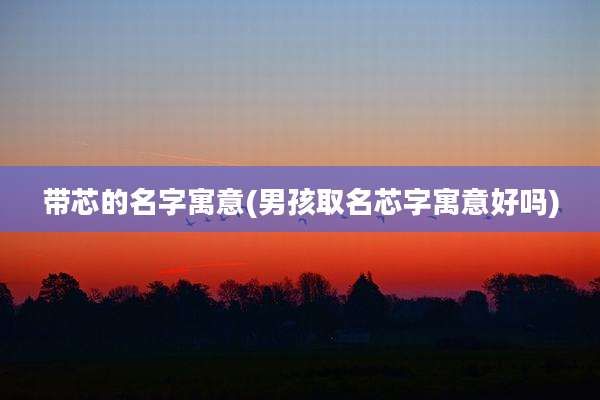 带芯的名字寓意(男孩取名芯字寓意好吗)