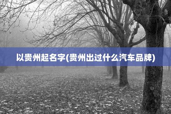 以贵州起名字(贵州出过什么汽车品牌)