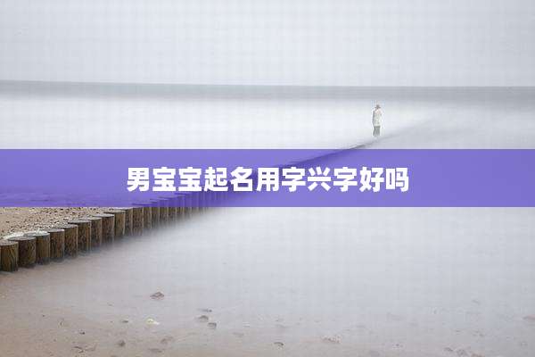 男宝宝起名用字兴字好吗