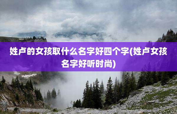 姓卢的女孩取什么名字好四个字(姓卢女孩名字好听时尚)