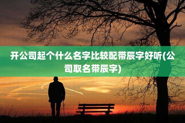 开公司起个什么名字比较配带辰字好听(公司取名带辰字)