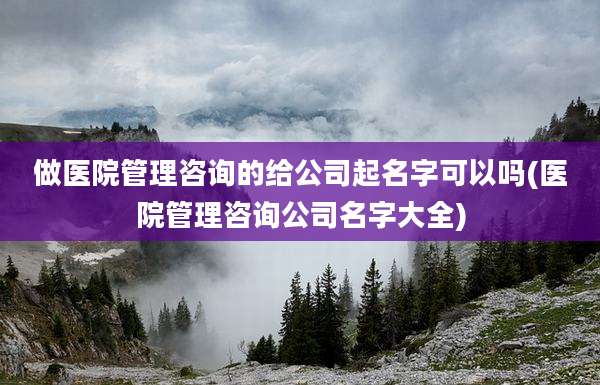 做医院管理咨询的给公司起名字可以吗(医院管理咨询公司名字大全)