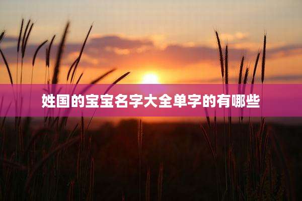 姓国的宝宝名字大全单字的有哪些