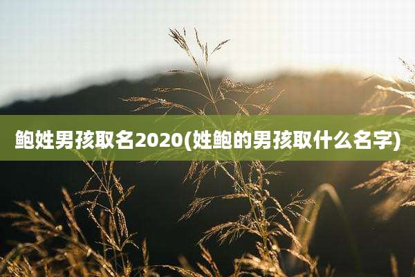 鲍姓男孩取名2020(姓鲍的男孩取什么名字)
