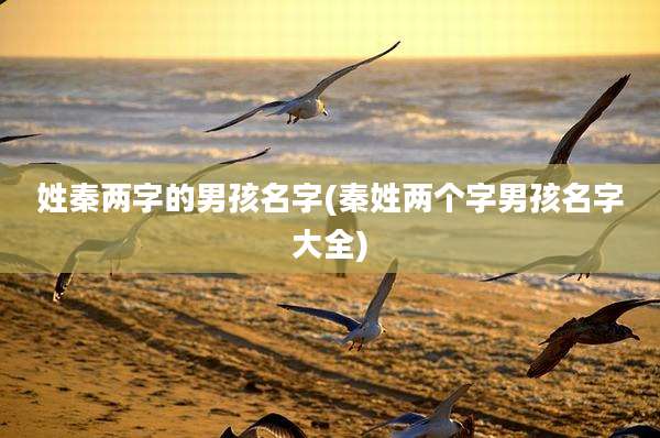 姓秦两字的男孩名字(秦姓两个字男孩名字大全)