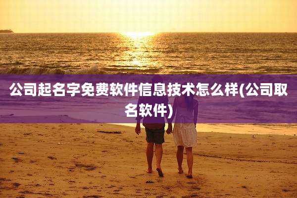 公司起名字免费软件信息技术怎么样(公司取名软件)