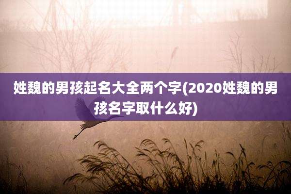 姓魏的男孩起名大全两个字(2020姓魏的男孩名字取什么好)