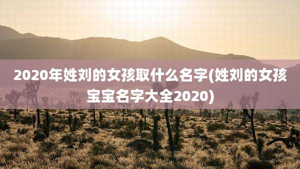 2020年姓刘的女孩取什么名字(姓刘的女孩宝宝名字大全2020)