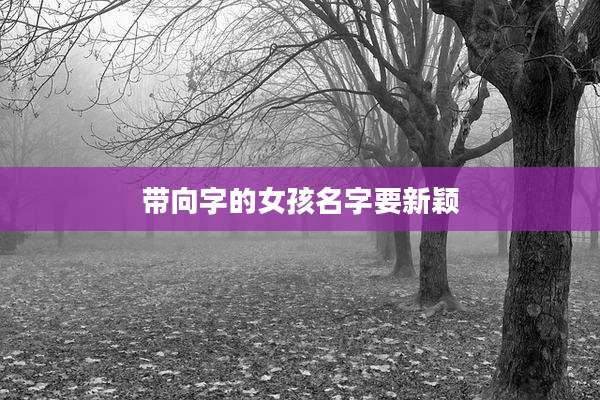 带向字的女孩名字要新颖