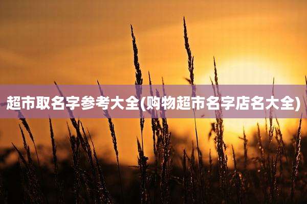 超市取名字参考大全(购物超市名字店名大全)