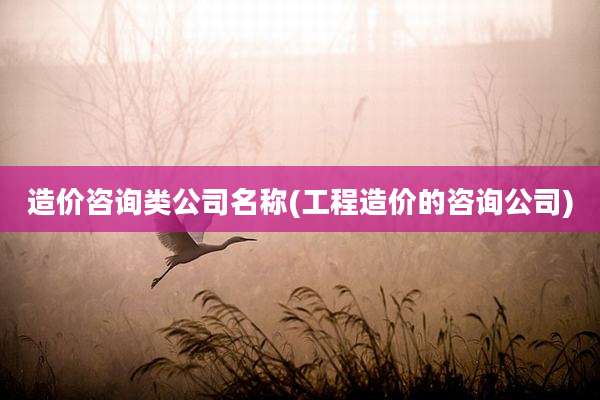 造价咨询类公司名称(工程造价的咨询公司)