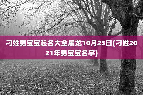 刁姓男宝宝起名大全属龙10月23日(刁姓2021年男宝宝名字)