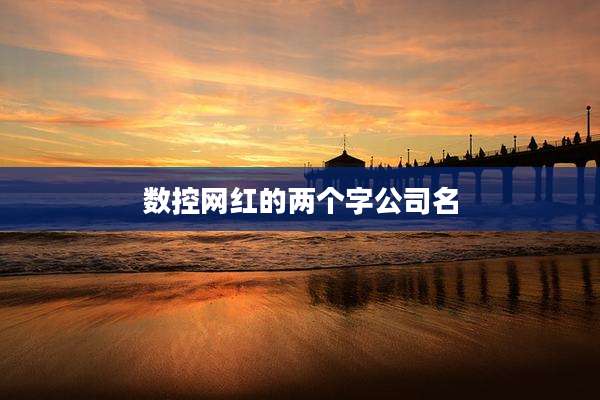 数控网红的两个字公司名