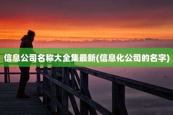 信息公司名称大全集最新(信息化公司的名字)