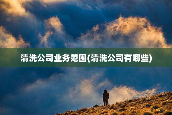 清洗公司业务范围(清洗公司有哪些)