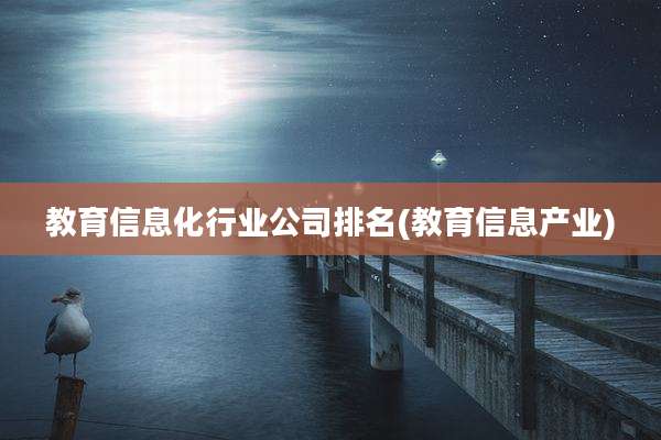 教育信息化行业公司排名(教育信息产业)