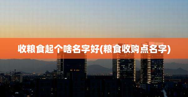 收粮食起个啥名字好(粮食收购点名字)