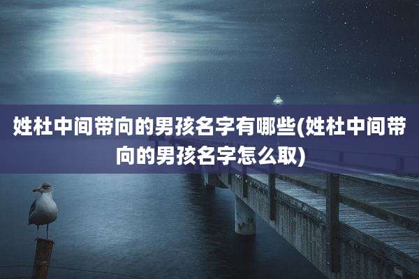 姓杜中间带向的男孩名字有哪些(姓杜中间带向的男孩名字怎么取)