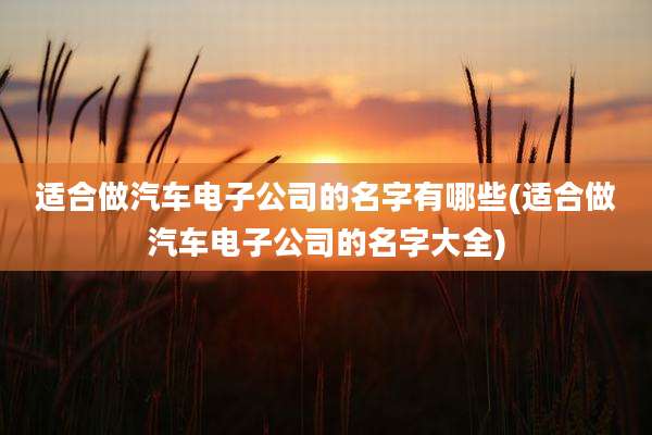 适合做汽车电子公司的名字有哪些(适合做汽车电子公司的名字大全)