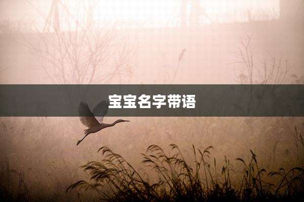 宝宝名字带语