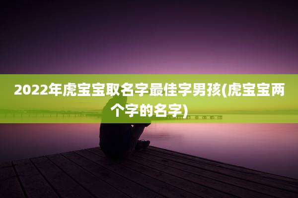 2022年虎宝宝取名字最佳字男孩(虎宝宝两个字的名字)
