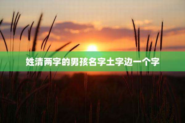 姓清两字的男孩名字土字边一个字