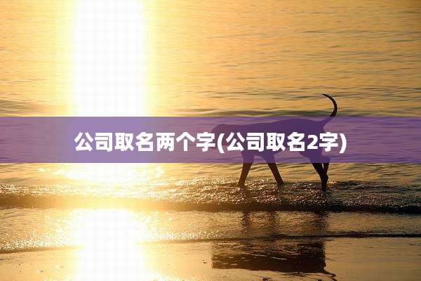 公司取名两个字(公司取名2字)