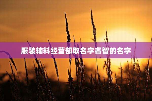 服装辅料经营部取名字睿智的名字