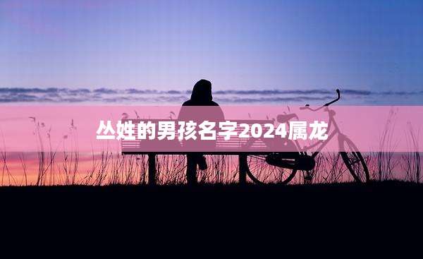 丛姓的男孩名字2024属龙
