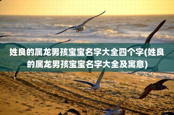 姓良的属龙男孩宝宝名字大全四个字(姓良的属龙男孩宝宝名字大全及寓意)