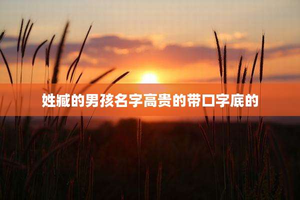 姓臧的男孩名字高贵的带口字底的