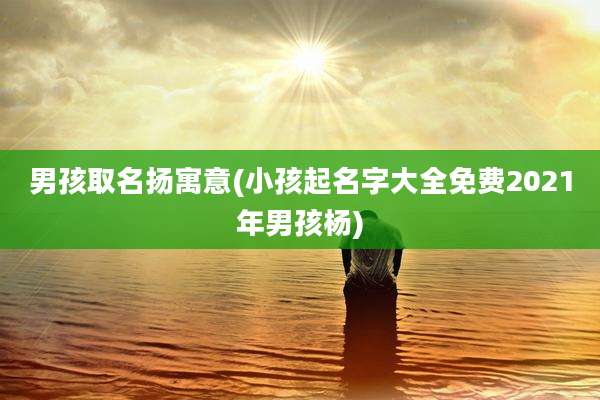 男孩取名扬寓意(小孩起名字大全免费2021年男孩杨)