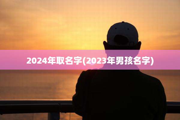 2024年取名字(2023年男孩名字)